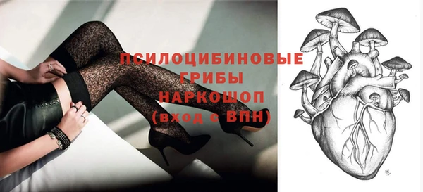 PSILOCYBIN Кукмор
