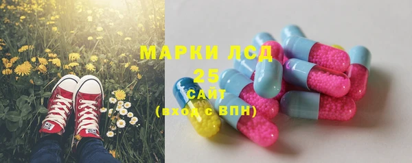 винт Алексин