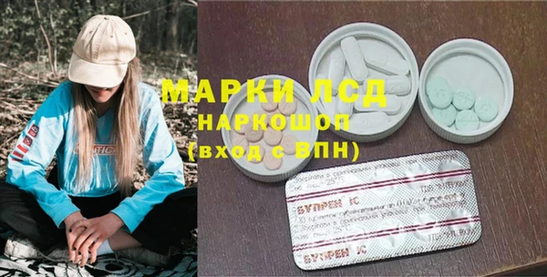 PSILOCYBIN Кукмор