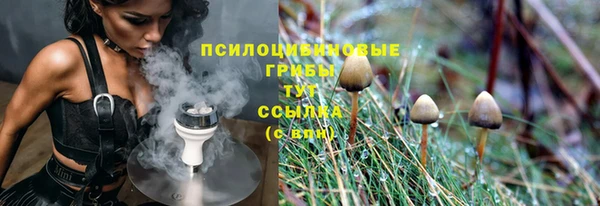 spice Куйбышев