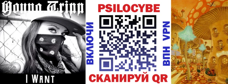 Псилоцибиновые грибы Cubensis  kraken маркетплейс  площадка клад  цены   Юрьев-Польский 